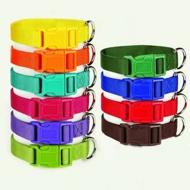 Classic Nylon Dog Collar Assorted Colors