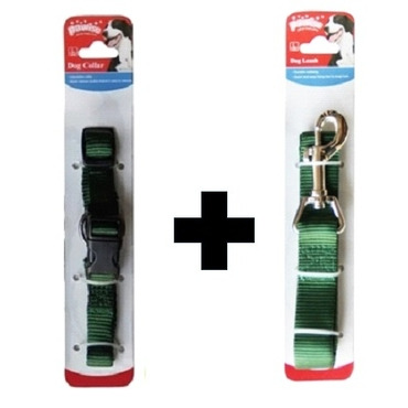 Pawise Dog Nylon Collar + Leash Large Assorted Color
